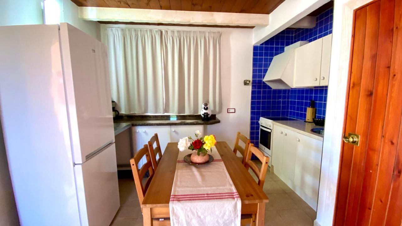 Damia 3 Holiday home