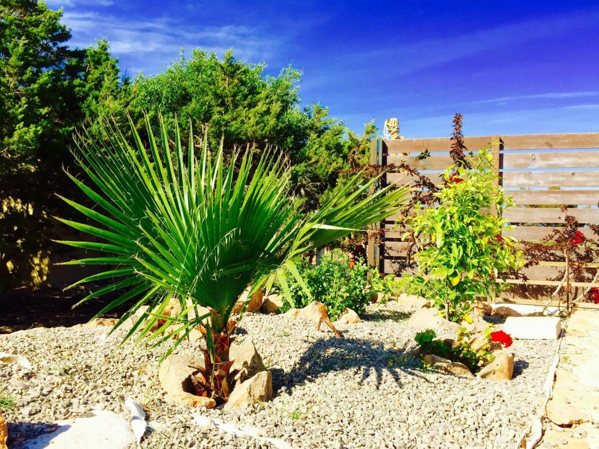 Damia 3 Holiday home Cala Saona